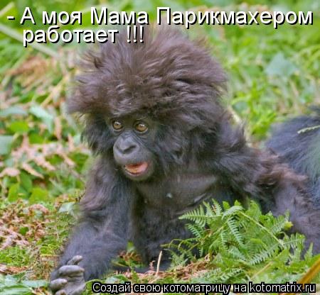 - А моя Мама Парикмахером работает !!!... Котоматрица: - А моя Мама Парикмахером работает !!!