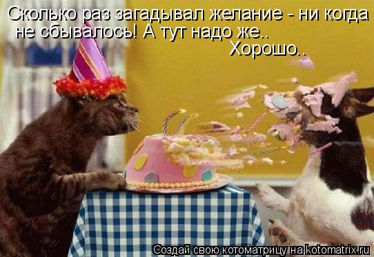 Сколько раз загадывал желание - ни когда не сбывалось! А тут надо же.. Хорошо..... Котоматрица: Сколько раз загадывал желание - ни когда не сбывалось! А тут надо же.. Хорошо..