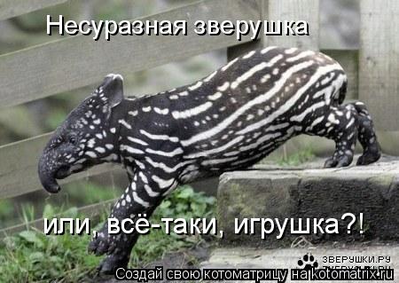 Несуразная зверушка или, всё-таки, игрушка?!... Котоматрица: Несуразная зверушка или, всё-таки, игрушка?!