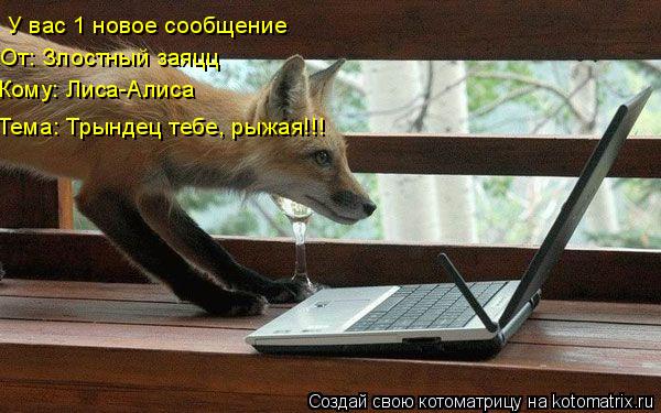 У вас 1 новое сообщение От: Злостный заяцц Кому: Лиса-Алиса Тема: Трындец тебе, рыжая!!!... Котоматрица: У вас 1 новое сообщение От: Злостный заяцц Кому: Лиса-Алиса Тема: Трындец тебе, рыжая!!!