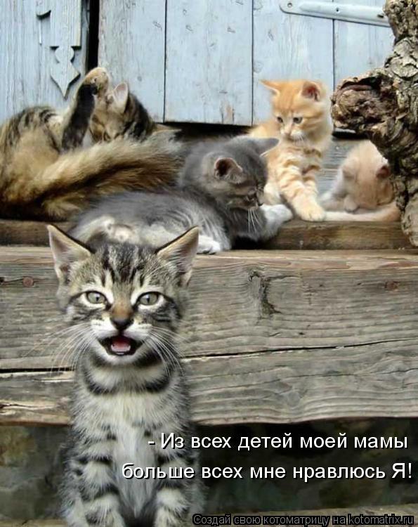 - Из всех детей моей мамы больше всех мне нравлюсь Я!... Котоматрица: - Из всех детей моей мамы больше всех мне нравлюсь Я!