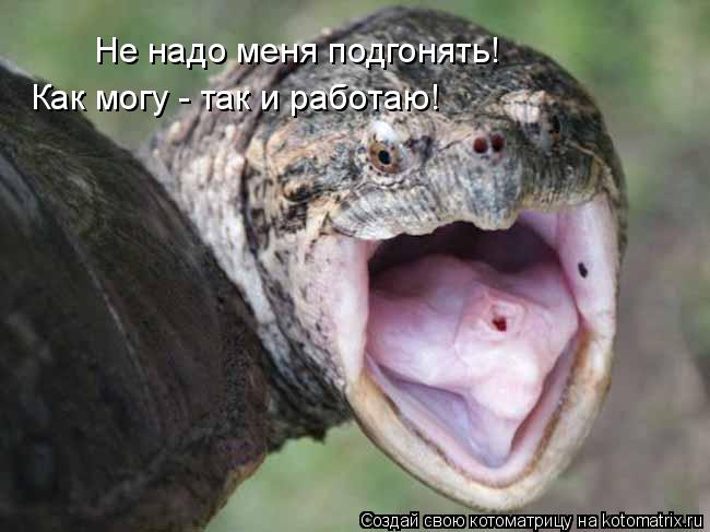 Не надо меня подгонять! Как могу - так и работаю!... Котоматрица: Не надо меня подгонять! Как могу - так и работаю!