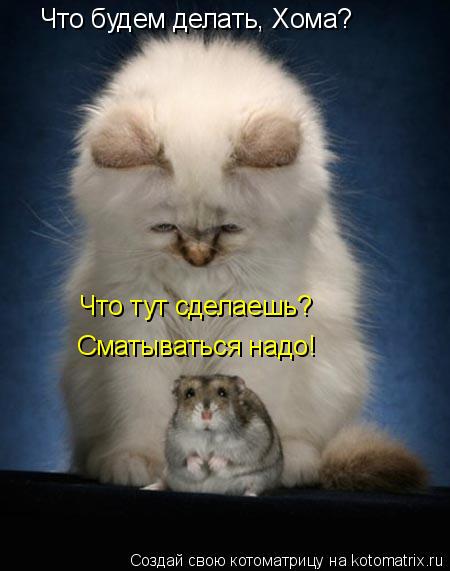 Что будем делать, Хома? Сматываться надо! Что тут сделаешь?... Котоматрица: Что будем делать, Хома? Сматываться надо! Что тут сделаешь?