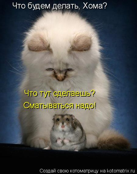 Котоматрица: Что будем делать, Хома? Сматываться надо! Что тут сделаешь?