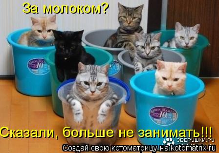За молоком? Сказали, больше не занимать!!!... Котоматрица: За молоком? Сказали, больше не занимать!!!