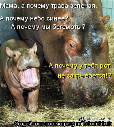 Мама, а почему трава зеленая, А почему небо синее? А почему мы бегемоты? А почему у тебя рот не закр... Котоматрица: Мама, а почему трава зеленая, А почему небо синее? А почему мы бегемоты? А почему у тебя рот не закрывается!?