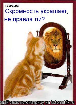 Котоматрица: Скромность украшает, не правда ли?