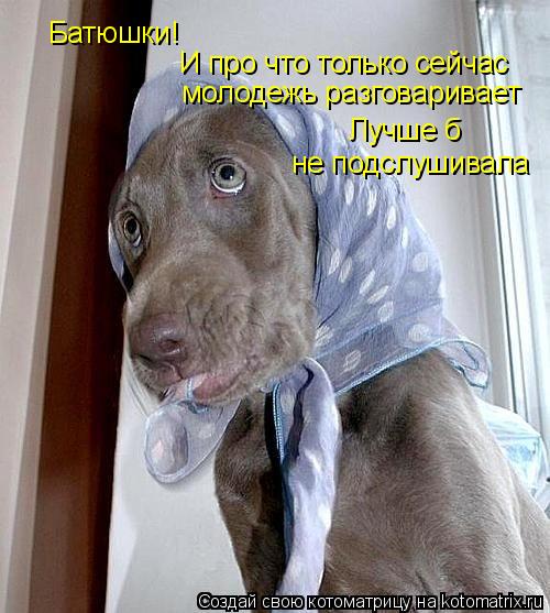 Батюшки! И про что только сейчас молодежь разговаривает Лучше б не подслушивала... Котоматрица: Батюшки! И про что только сейчас молодежь разговаривает Лучше б не подслушивала