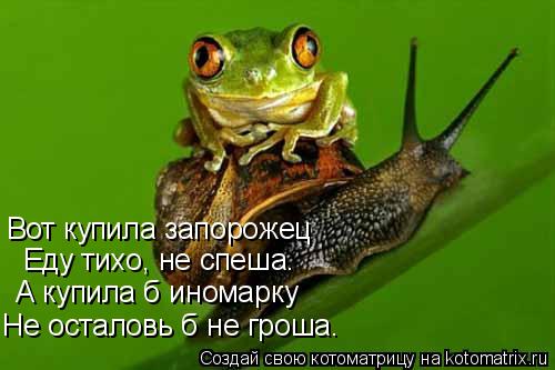 Котоматрица: Вот купила запорожец Еду тихо, не спеша. А купила б иномарку Не осталовь б не гроша.