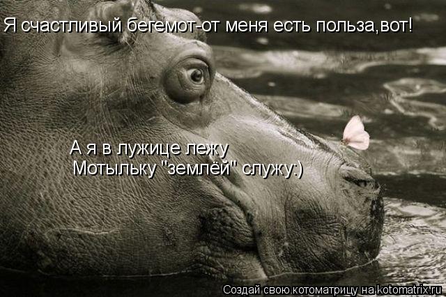 А я в лужице лежу Мотыльку "землёй" служу:) Я счастливый бегемот-от меня есть польза,вот!... Котоматрица: А я в лужице лежу Мотыльку "землёй" служу:) Я счастливый бегемот-от меня есть польза,вот!