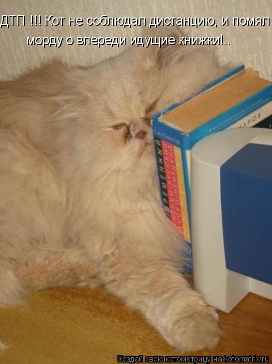 ДТП !!! Кот не соблюдал дистанцию, и помял морду о впереди идущие книжки!.. морду о впереди идущие к... Котоматрица: ДТП !!! Кот не соблюдал дистанцию, и помял морду о впереди идущие книжки!.. морду о впереди идущие книжки!..