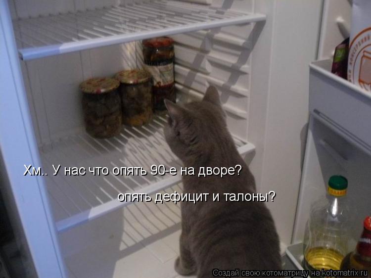 Хм.. У нас что опять 90-е на дворе? опять дефицит и талоны?... Котоматрица: Хм.. У нас что опять 90-е на дворе? опять дефицит и талоны?