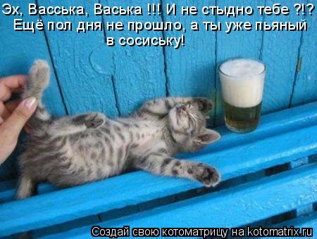 Эх, Васська, Васька !!! И не стыдно тебе ?!? Ещё пол дня не прошло, а ты уже пьяный в сосиську!... Котоматрица: Эх, Васська, Васька !!! И не стыдно тебе ?!? Ещё пол дня не прошло, а ты уже пьяный в сосиську!