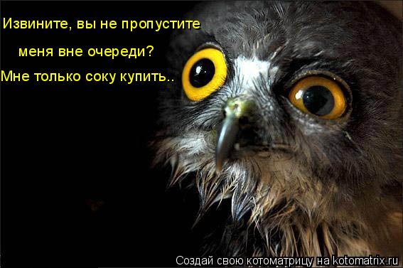 Извините, вы не пропустите меня вне очереди? Мне только соку купить..... Котоматрица: Извините, вы не пропустите меня вне очереди? Мне только соку купить..