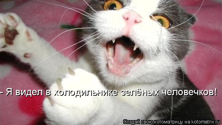 - Я видел в холодильнике зелёных человечков!... Котоматрица: - Я видел в холодильнике зелёных человечков!