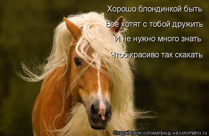 Хорошо блондинкой быть Все хотят с тобой дружить И не нужно много знать Чтоб красиво так скакать... Котоматрица: Хорошо блондинкой быть Все хотят с тобой дружить И не нужно много знать Чтоб красиво так скакать