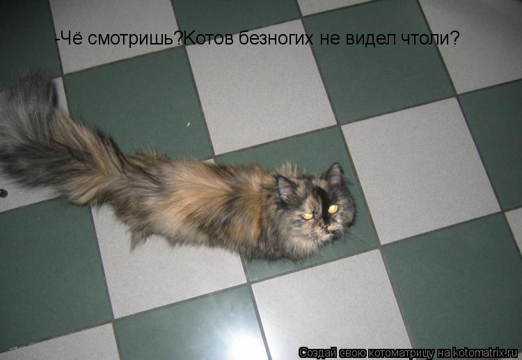 Котоматрица: -Чё смотришь?Kотов безногих не видел чтоли?