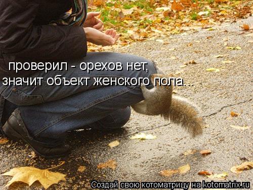 проверил - орехов нет, значит объект женского пола...... Котоматрица: проверил - орехов нет, значит объект женского пола...