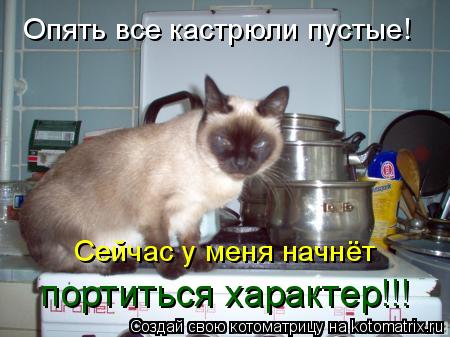 Опять все кастрюли пустые! Сейчас у меня начнёт портиться характер!!!... Котоматрица: Опять все кастрюли пустые! Сейчас у меня начнёт портиться характер!!!