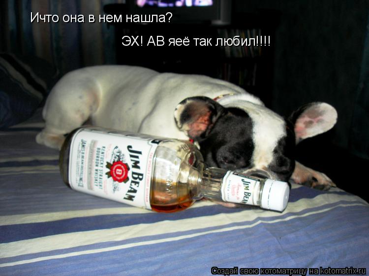 Ичто она в нем нашла? ЭХ! АВ яеё так любил!!!!... Котоматрица: Ичто она в нем нашла? ЭХ! АВ яеё так любил!!!!