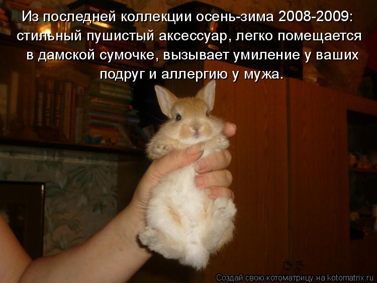 в дамской сумочке, вызывает умиление у ваших подруг и аллергию у мужа. Из последней коллекции осень-з... Котоматрица: в дамской сумочке, вызывает умиление у ваших подруг и аллергию у мужа. Из последней коллекции осень-зима 2008-2009: стильный пушистый аксессуар,
