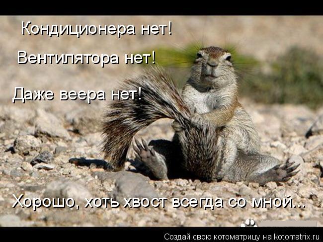 Кондиционера нет! Вентилятора нет! Даже веера нет! Хорошо, хоть хвост всегда со мной...... Котоматрица: Кондиционера нет! Вентилятора нет! Даже веера нет! Хорошо, хоть хвост всегда со мной...