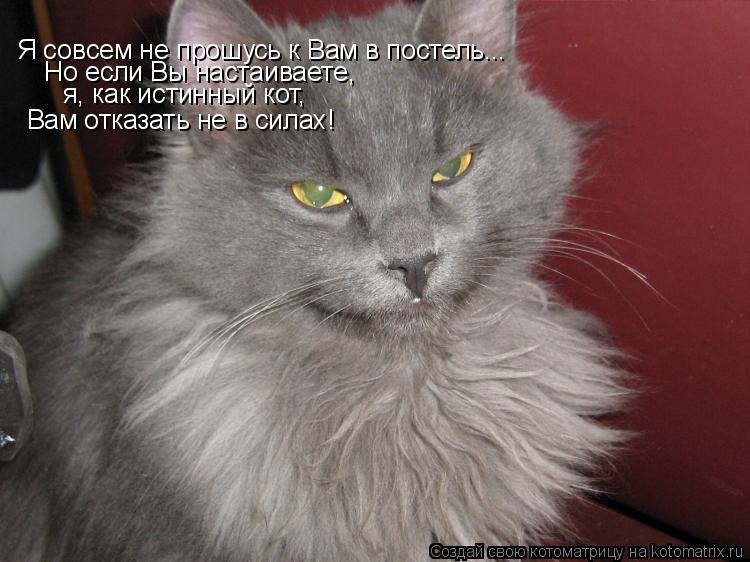 Я совсем не прошусь к Вам в постель... Но если Вы настаиваете, я, как истинный кот, Вам отказать не в... Котоматрица: Я совсем не прошусь к Вам в постель... Но если Вы настаиваете, я, как истинный кот, Вам отказать не в силах!