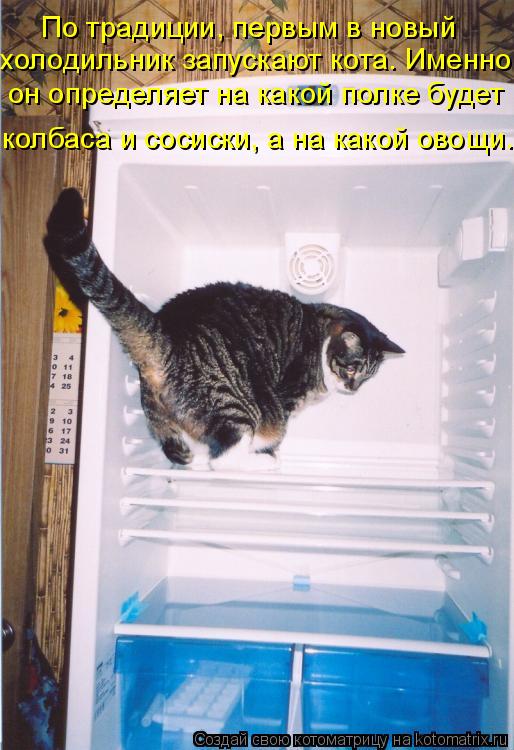 холодильник запускают кота. Именно он определяет на какой полке будет колбаса и сосиски, а на какой ... Котоматрица: холодильник запускают кота. Именно он определяет на какой полке будет колбаса и сосиски, а на какой овощи. По традиции, первым в новый