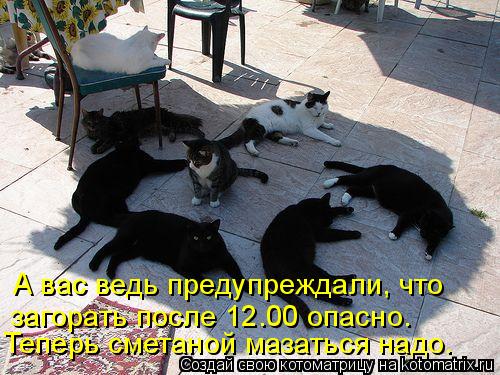 А вас ведь предупреждали, что Теперь сметаной мазаться надо. загорать после 12.00 опасно.... Котоматрица: А вас ведь предупреждали, что Теперь сметаной мазаться надо. загорать после 12.00 опасно.