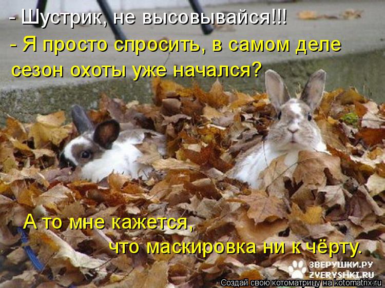 - Шустрик, не высовывайся!!! А то мне кажется, что маскировка ни к чёрту. - Я просто спросить, в само... Котоматрица: - Шустрик, не высовывайся!!! А то мне кажется, что маскировка ни к чёрту. - Я просто спросить, в самом деле сезон охоты уже начался?