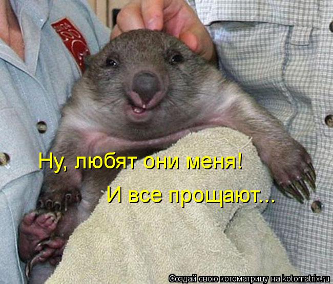 Ну, любят они меня! И все прощают...... Котоматрица: Ну, любят они меня! И все прощают...