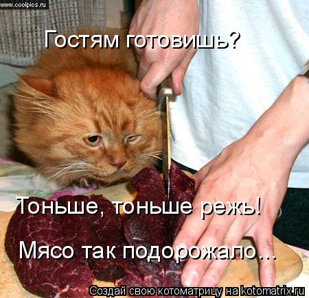 Гостям готовишь? Тоньше, тоньше режь! Мясо так подорожало...... Котоматрица: Гостям готовишь? Тоньше, тоньше режь! Мясо так подорожало...