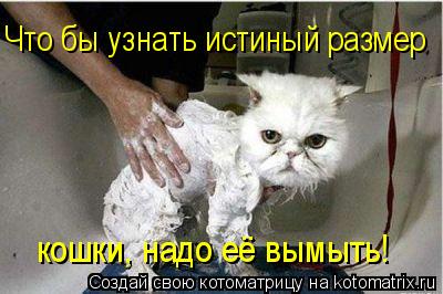 Котоматрица: Что бы узнать истиный размер кошки, надо её вымыть!