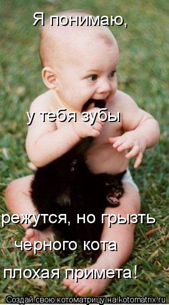 Я понимаю, у тебя зубы режутся, но грызть черного кота плохая примета!... Котоматрица: Я понимаю, у тебя зубы режутся, но грызть черного кота плохая примета!