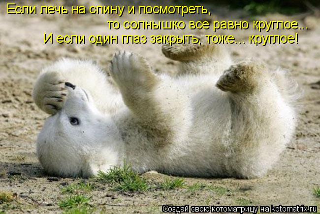 Если лечь на спину и посмотреть, то солнышко все равно круглое... И если один глаз закрыть, тоже... к... Котоматрица: Если лечь на спину и посмотреть, то солнышко все равно круглое... И если один глаз закрыть, тоже... круглое!