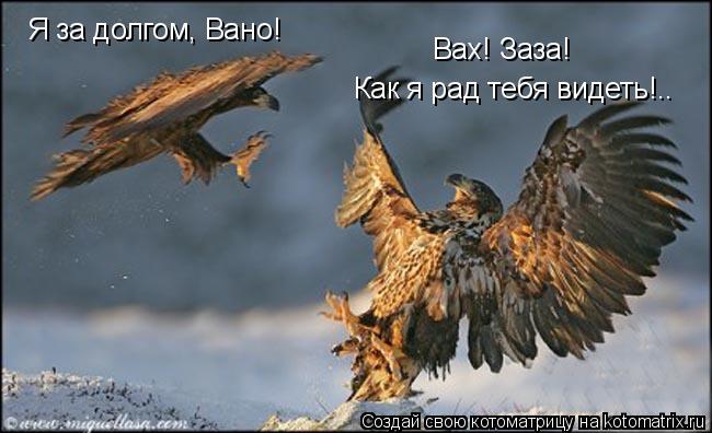 Я за долгом, Вано! Вах! Заза! Как я рад тебя видеть!..... Котоматрица: Я за долгом, Вано! Вах! Заза! Как я рад тебя видеть!..
