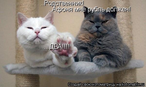 ..Родственник! ..Афоня мне рубль должен! ...ДВА!!!!... Котоматрица: ..Родственник! ..Афоня мне рубль должен! ...ДВА!!!!