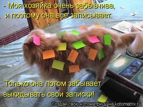 Котоматрица: - Моя хозяйка очень забывчива, и поэтому она все записывает. Только она потом забывает выкидывать свои записки!