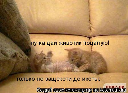 ну-ка дай животик поцалую! только не защекоти до икоты.... Котоматрица: ну-ка дай животик поцалую! только не защекоти до икоты.