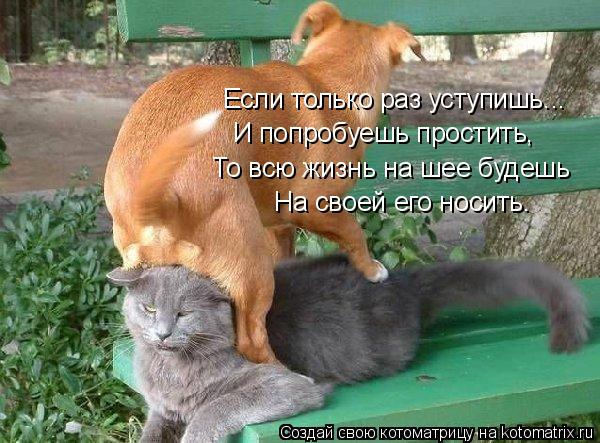 Если только раз уступишь... И попробуешь простить, То всю жизнь на шее будешь На своей его носить.... Котоматрица: Если только раз уступишь... И попробуешь простить, То всю жизнь на шее будешь На своей его носить.