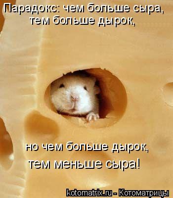 тем больше дырок, Парадокс: чем больше сыра, но чем больше дырок, тем меньше сыра!... Котоматрица: тем больше дырок, Парадокс: чем больше сыра, но чем больше дырок, тем меньше сыра!