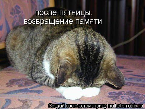 после пятницы. возвращение памяти... Котоматрица: после пятницы. возвращение памяти