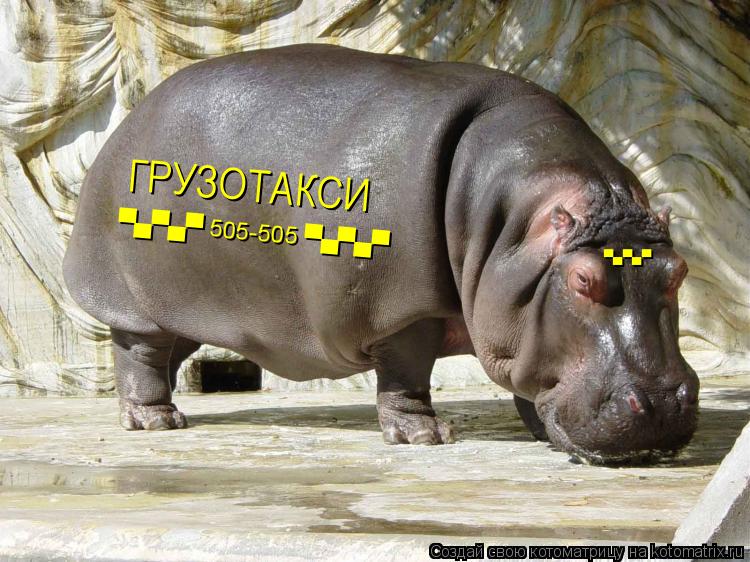 ГРУЗОТАКСИ ▀▄▀▄▀ 505-505 ▀▄▀▄▀ ▀	... Котоматрица: ГРУЗОТАКСИ ▀▄▀▄▀ 505-505 ▀▄▀▄▀ ▀▄▀▄▀