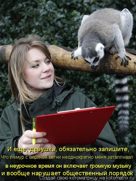 И еще, девушка, обязательно запишите, в неурочное время он включает громкую музыку Что лемур с верхне... Котоматрица: И еще, девушка, обязательно запишите, в неурочное время он включает громкую музыку Что лемур с верхней ветки неоднократно меня затапливал и