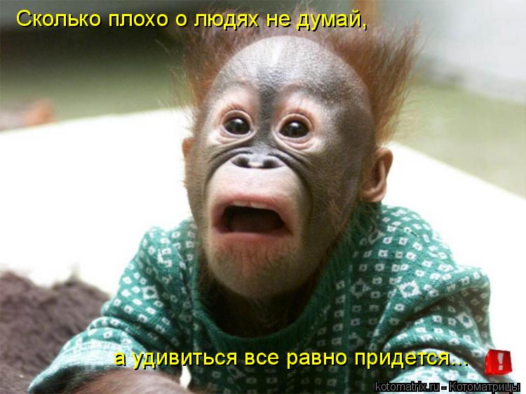 а удивиться все равно придется... Сколько плохо о людях не думай,... Котоматрица: а удивиться все равно придется... Сколько плохо о людях не думай,