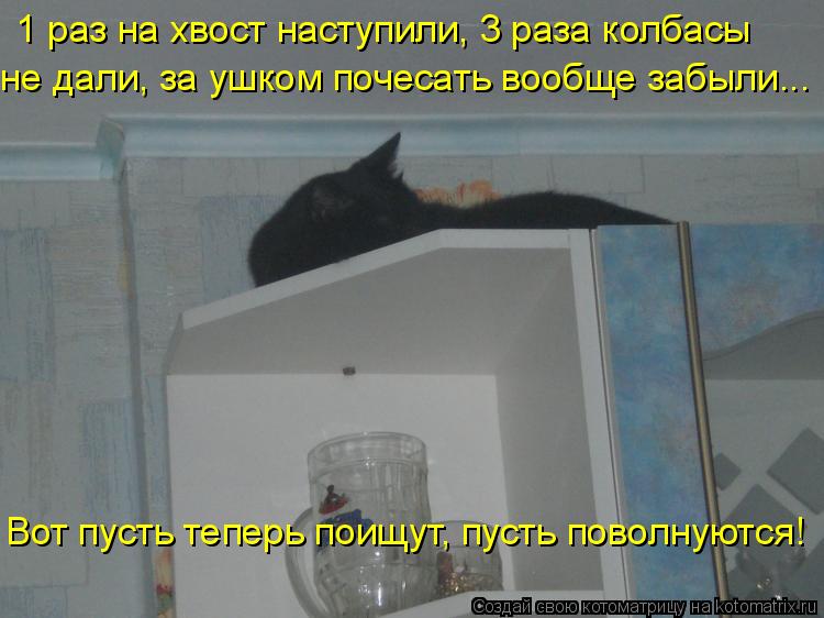 1 раз на хвост наступили, 3 раза колбасы не дали, за ушком почесать вообще забыли... Вот пусть тепер... Котоматрица: 1 раз на хвост наступили, 3 раза колбасы не дали, за ушком почесать вообще забыли... Вот пусть теперь поищут, пусть поволнуются!