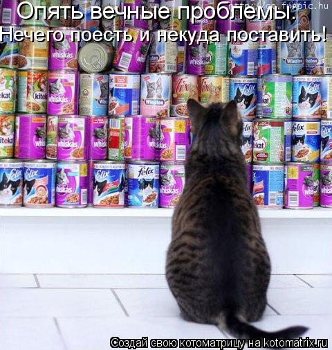 Опять вечные проблемы: Нечего поесть и некуда поставить!... Котоматрица: Опять вечные проблемы: Нечего поесть и некуда поставить!