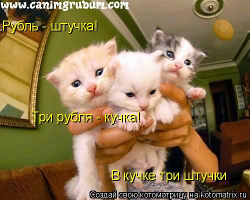 Рубль - штучка! Три рубля - кучка! В кучке три штучки... Котоматрица: Рубль - штучка! Три рубля - кучка! В кучке три штучки