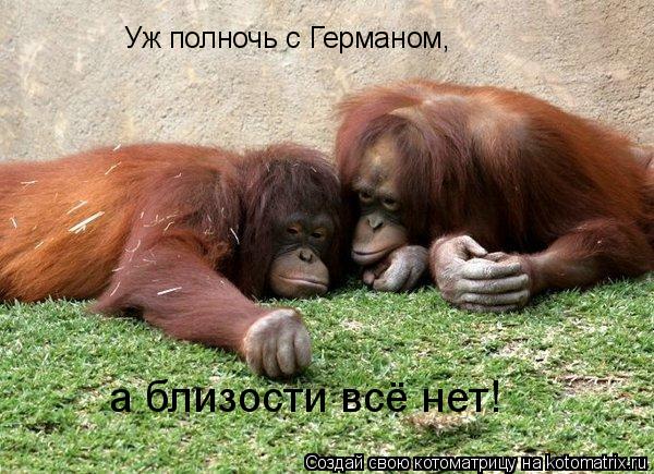 Уж полночь с Германом, а близости всё нет!... Котоматрица: Уж полночь с Германом, а близости всё нет!