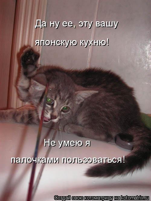 Да ну ее, эту вашу японскую кухню! Не умею я палочками пользоваться!... Котоматрица: Да ну ее, эту вашу японскую кухню! Не умею я палочками пользоваться!